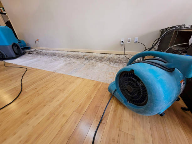 Professional Burst Pipe Water Damage technician working in Greenville, ME